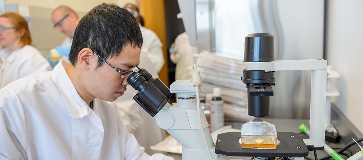 学生 working at a microscope